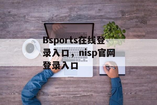 Bsports在线登录入口，nisp官网登录入口